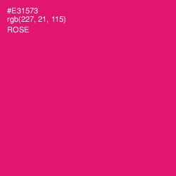 #E31573 - Rose Color Image