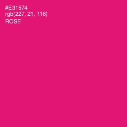 #E31574 - Rose Color Image