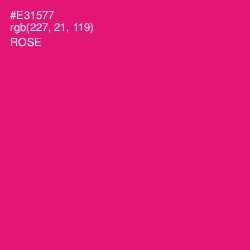 #E31577 - Rose Color Image