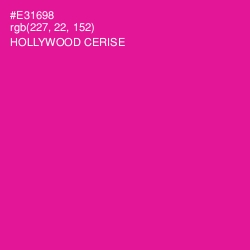 #E31698 - Hollywood Cerise Color Image