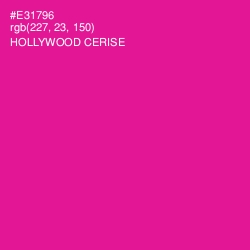 #E31796 - Hollywood Cerise Color Image