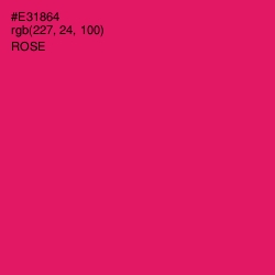 #E31864 - Rose Color Image