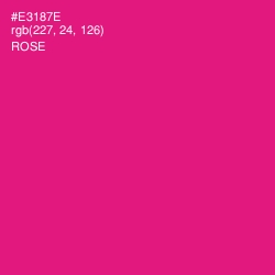 #E3187E - Rose Color Image