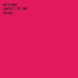 #E31960 - Rose Color Image