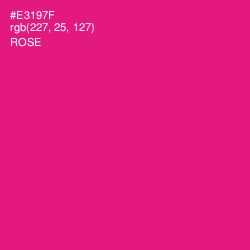 #E3197F - Rose Color Image