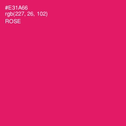 #E31A66 - Rose Color Image