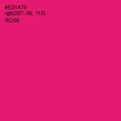 #E31A70 - Rose Color Image