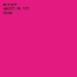 #E31A7F - Rose Color Image