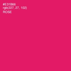 #E31B66 - Rose Color Image