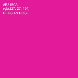 #E31B9A - Persian Rose Color Image