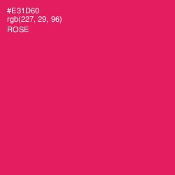 #E31D60 - Rose Color Image