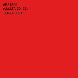 #E31E20 - Torch Red Color Image