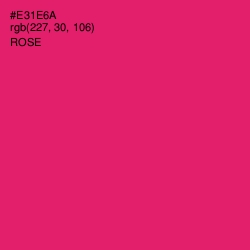 #E31E6A - Rose Color Image