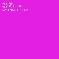 #E31FE4 - Magenta / Fuchsia Color Image