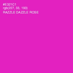 #E321C1 - Razzle Dazzle Rose Color Image