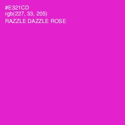 #E321CD - Razzle Dazzle Rose Color Image