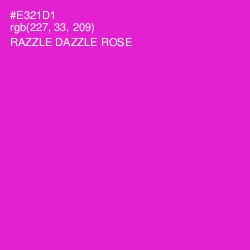 #E321D1 - Razzle Dazzle Rose Color Image