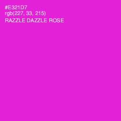 #E321D7 - Razzle Dazzle Rose Color Image