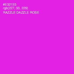 #E321E5 - Razzle Dazzle Rose Color Image