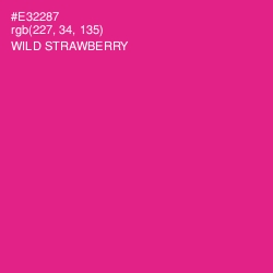 #E32287 - Wild Strawberry Color Image