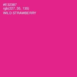 #E32387 - Wild Strawberry Color Image