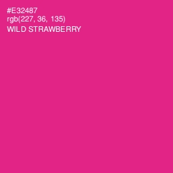#E32487 - Wild Strawberry Color Image