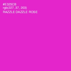 #E325CB - Razzle Dazzle Rose Color Image