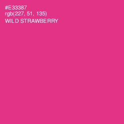 #E33387 - Wild Strawberry Color Image