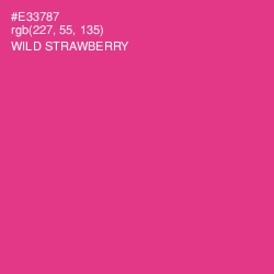 #E33787 - Wild Strawberry Color Image