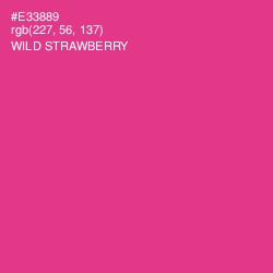 #E33889 - Wild Strawberry Color Image