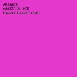 #E338CB - Razzle Dazzle Rose Color Image