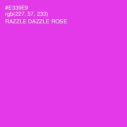 #E339E9 - Razzle Dazzle Rose Color Image