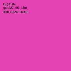 #E341B4 - Brilliant Rose Color Image