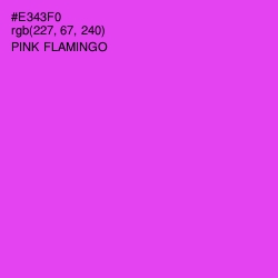 #E343F0 - Pink Flamingo Color Image