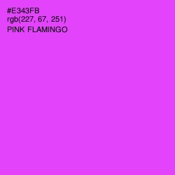 #E343FB - Pink Flamingo Color Image