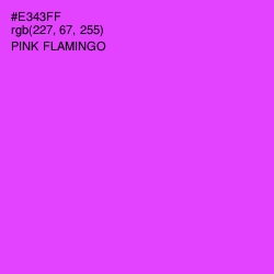 #E343FF - Pink Flamingo Color Image