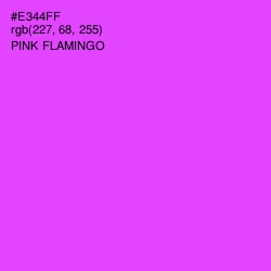 #E344FF - Pink Flamingo Color Image