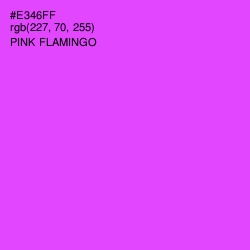 #E346FF - Pink Flamingo Color Image