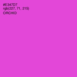 #E347D7 - Orchid Color Image