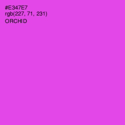 #E347E7 - Orchid Color Image