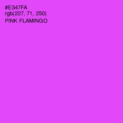 #E347FA - Pink Flamingo Color Image