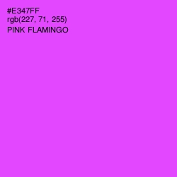 #E347FF - Pink Flamingo Color Image