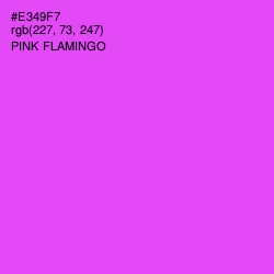 #E349F7 - Pink Flamingo Color Image