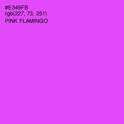 #E349FB - Pink Flamingo Color Image