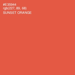 #E35944 - Sunset Orange Color Image