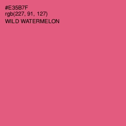 #E35B7F - Wild Watermelon Color Image