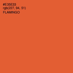 #E35E33 - Flamingo Color Image