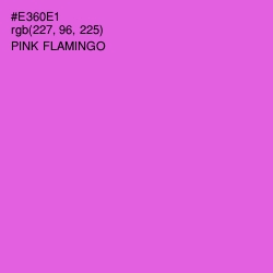 #E360E1 - Pink Flamingo Color Image