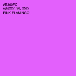 #E360FC - Pink Flamingo Color Image