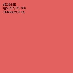 #E3615E - Terracotta Color Image